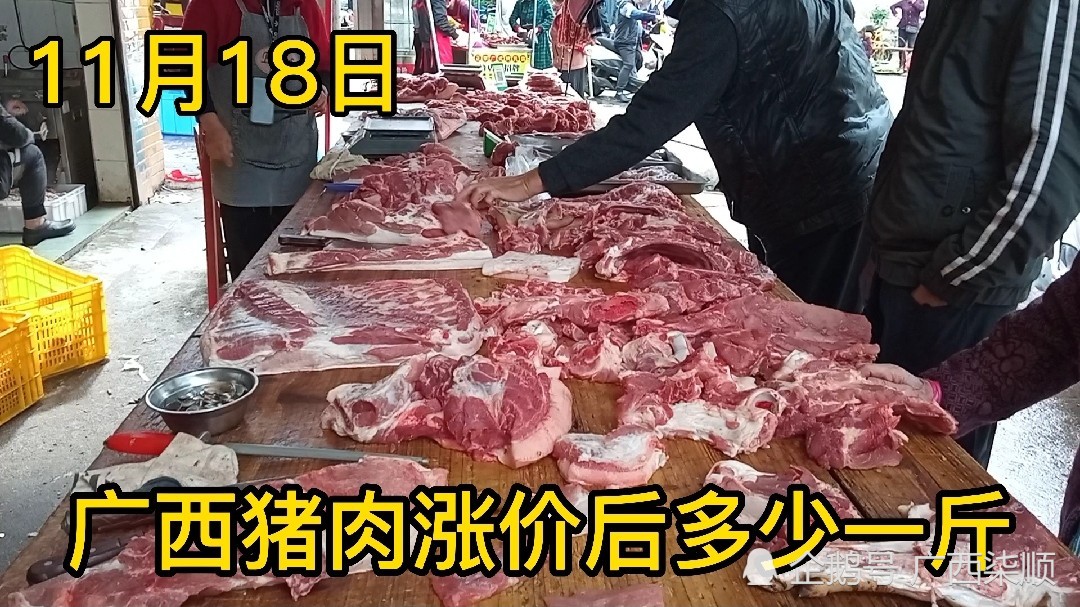 廣西豬肉最新價格動態及分析概覽