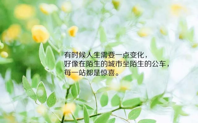 最新感悟語，探索人生新境界的啟示