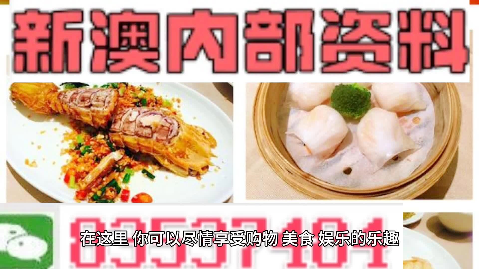 2024新奧精準資料大全｜準確資料解釋落實