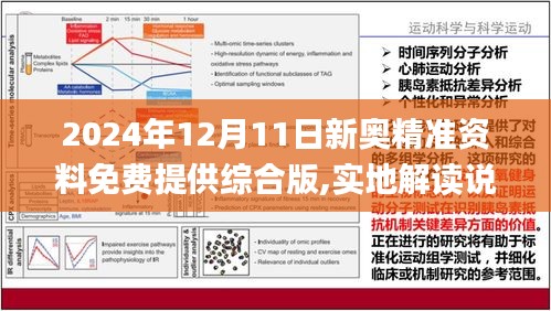 2024新奧正版資料最精準免費大全,平衡性策略實施指導_輕量版2.282