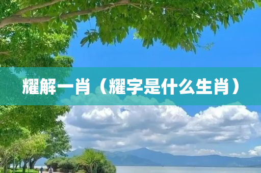 2024香港內部最準資料,數據設計驅動策略_WP版43.249