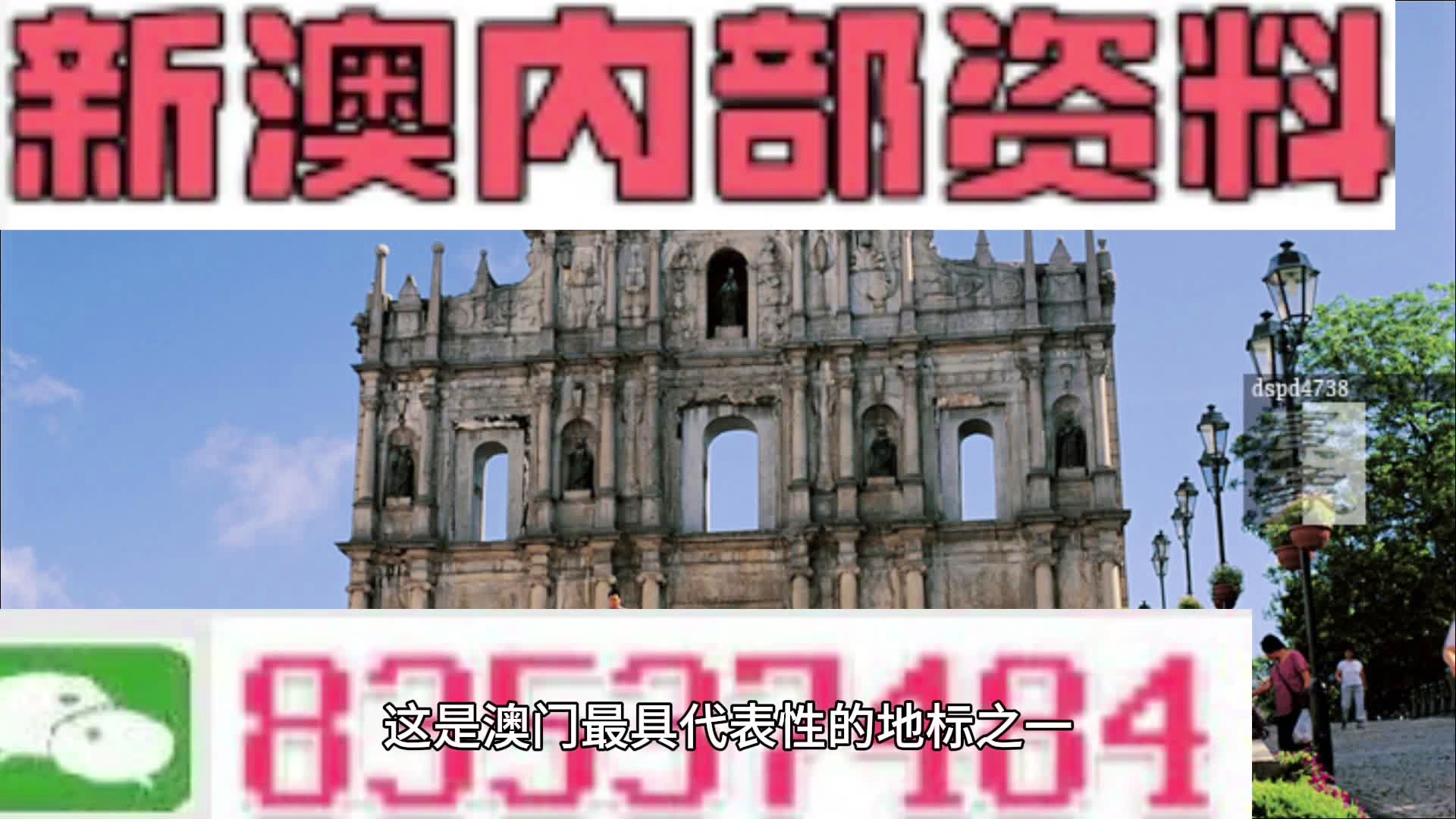 新澳2024正版資料免費(fèi)公開(kāi)｜統(tǒng)計(jì)解答解釋落實(shí)