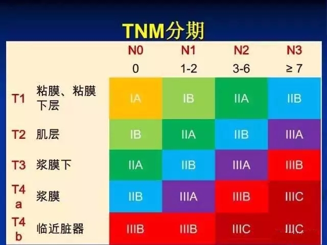 新澳門期期準精準,功能性操作方案制定_基礎版2.229