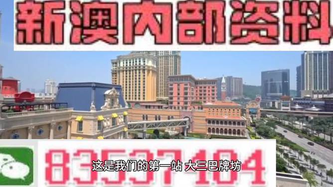 2024澳門精準正版免費｜決策資料解釋落實