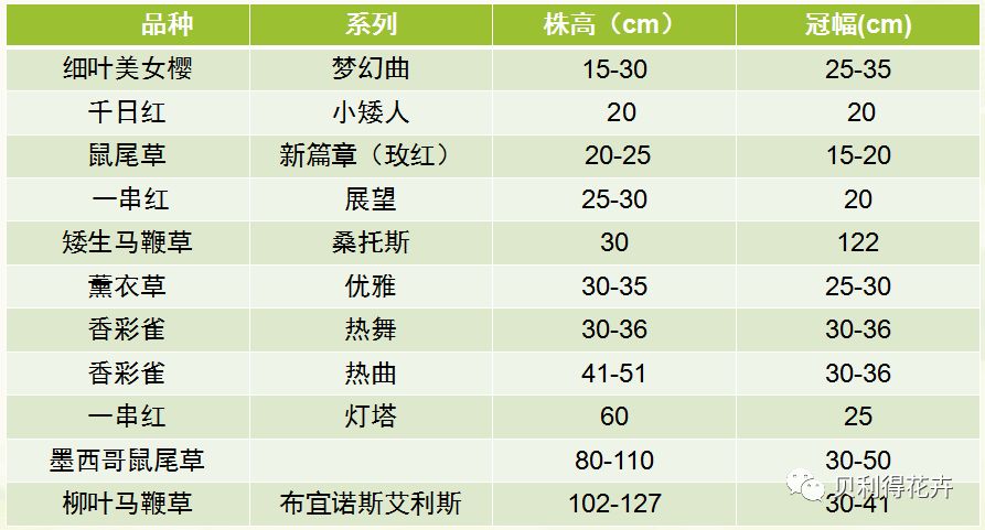 2024天天開彩免費資料,長期性計劃定義分析_挑戰款88.250