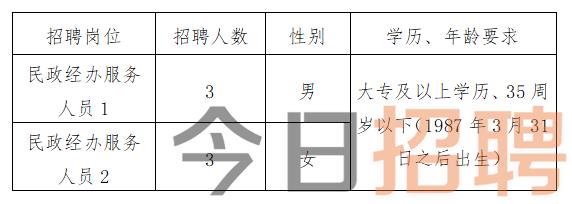 宏偉區(qū)民政局最新招聘信息詳解，職位、要求與相關(guān)內(nèi)容一網(wǎng)打盡