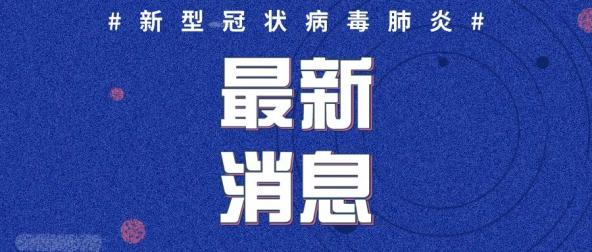 臨最新疫情通報,臨最新疫情通報，全球抗擊新冠疫情的最新進展與挑戰