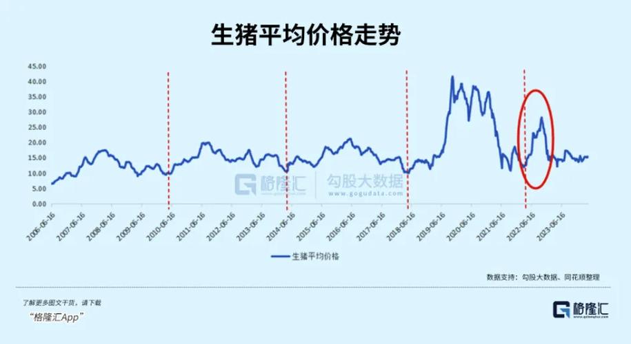 豬最新行情分析與豬價動態解讀