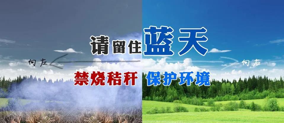 阜陽最新通告，城市發展與民生改善的新篇章開啟