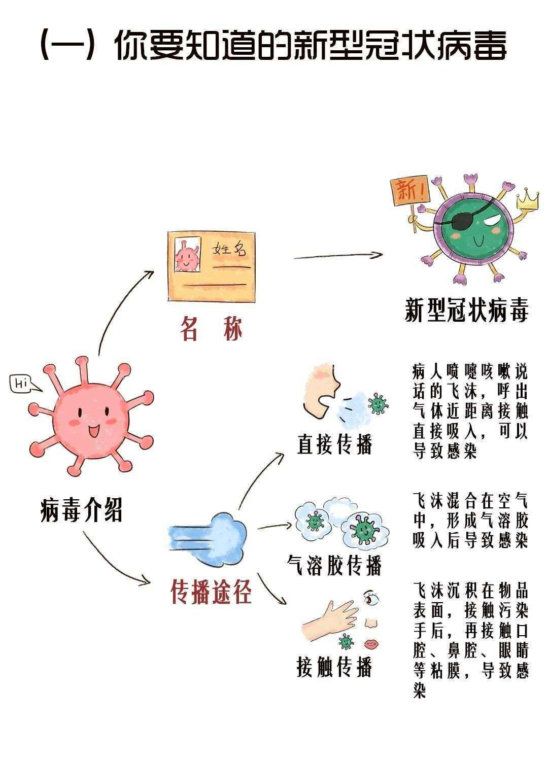 最新病毒隔離，理解、應(yīng)對與未來展望