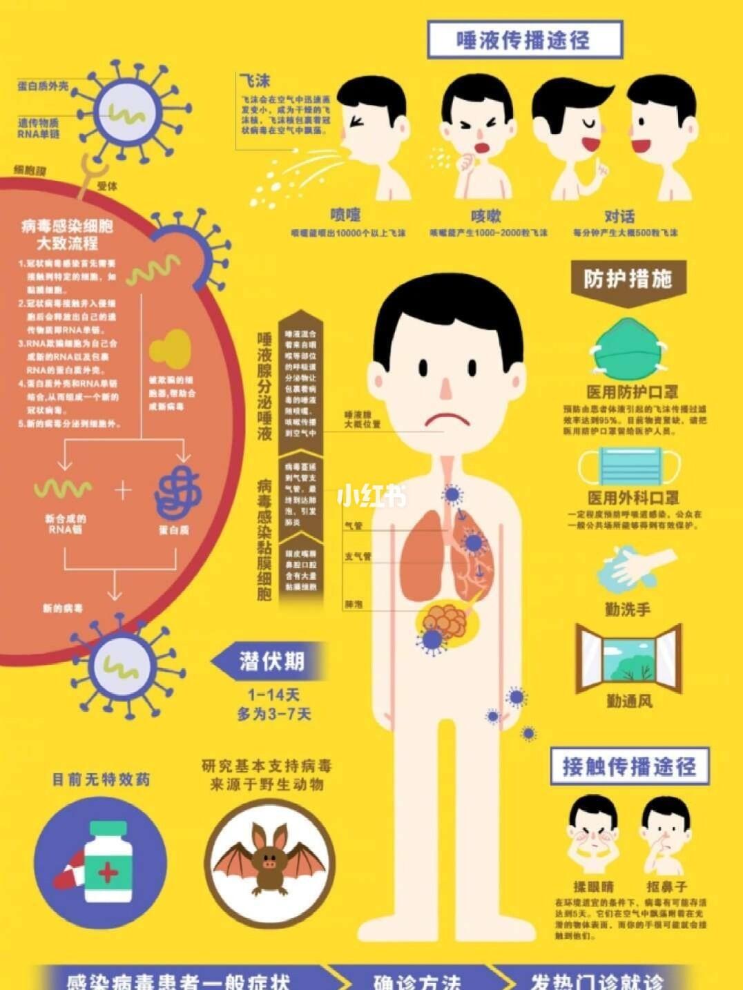 最新肺炎感染途徑研究，探索、防控策略與啟示